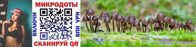 площадка телеграм  наркотики  Чулым  Псилоцибиновые грибы GOLDEN TEACHER 